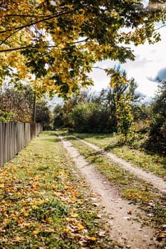 Country road with colorful autumn leaves and wooden fence stretching into the distance