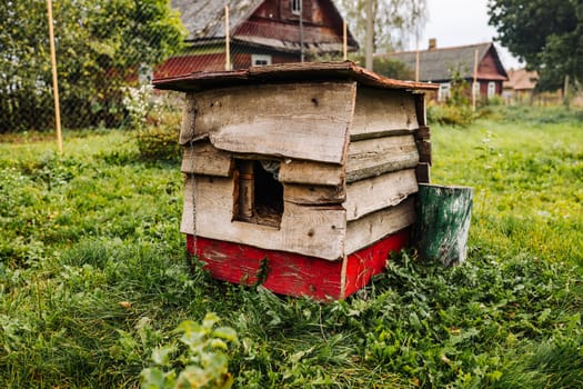 Small old doghouse made of wood planks is standing in green grass in a rural backyard