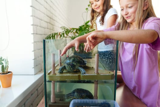 Two girls are joyfully reaching into a glass enclosure containing turtles. The bright room is filled with plants, showcasing a cheerful atmosphere of discovery and connection with nature.
