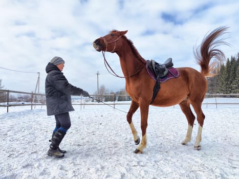 A person guides a horse in a snowy outdoor arena during winter, showcasing training techniques and connection between them.