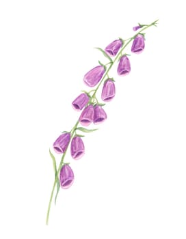 Purple and pink foxglove stems watercolor illustration, detailed with graceful blooms. Ideal for nature-inspired patterns, stationery, home textiles, and digital backgrounds
