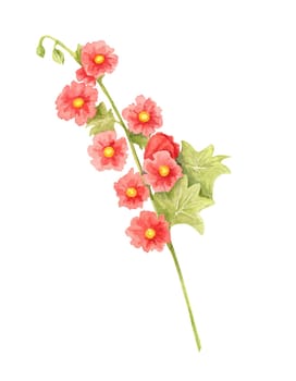 Scarlet red hollyhock flower watercolor illustration with delicate leaves. Hand drawn clipart Ideal for greeting cards, wall art, textiles, and digital pattern designs featuring garden flowers
