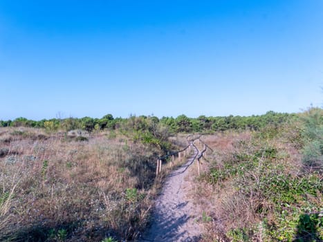 Mediterranean forests, woodlands, and scrub is a biome defined by the World Wide Fund for Nature.