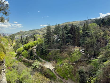 Scenic city park with winding paths, forested slopes and a glimpse of urban buildings. Perfect blend of nature and urban life for tourism and travel visuals