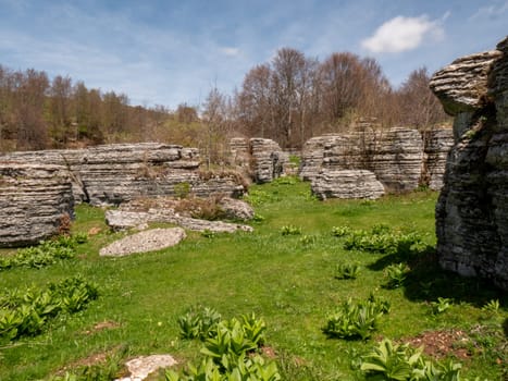 The sphinxes of Lessinia monoliths rocks shaped by nature over thousands of years.