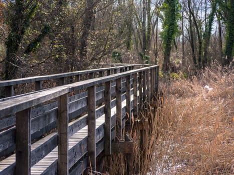 Wood bridge across a pond . High quality photo