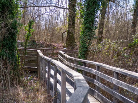 Wood bridge across a pond . High quality photo