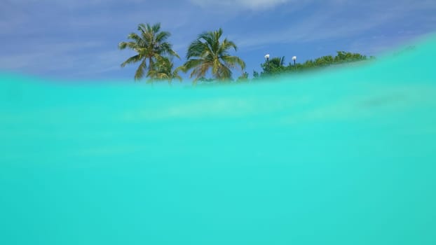 Half underwater view capturing a tropical island adorned with swaying palm trees and lush vegetation, revealing the stunning turquoise hues of the crystal-clear ocean