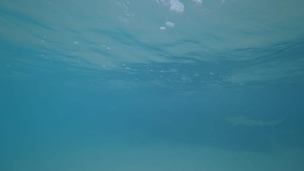 Underwater view of the ocean with air bubbles rising to the surface and sun rays filtering through the water, creating a peaceful and serene atmosphere