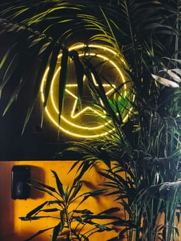 Neon peace sign shining through lush green palm leaves, dark background