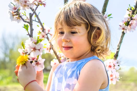 Child in a garden of flowering trees. Selective focus. kid.