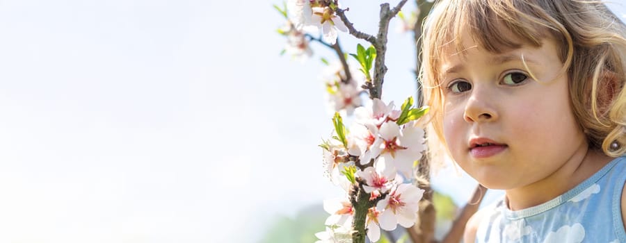 Child in a garden of flowering trees. Selective focus. kid.