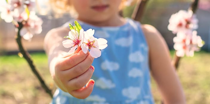 Child in a garden of flowering trees. Selective focus. kid.