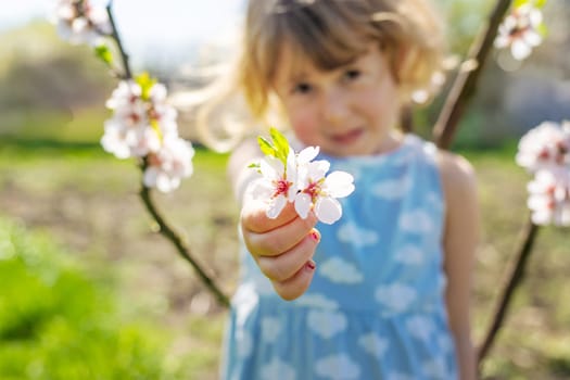Child in a garden of flowering trees. Selective focus. kid.