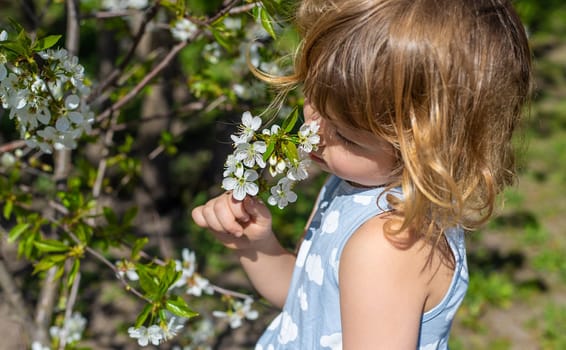 Child in a garden of flowering trees. Selective focus. kid.