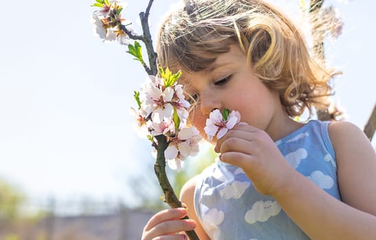 Child in a garden of flowering trees. Selective focus. kid.