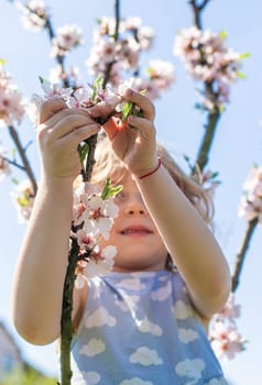 Child in a garden of flowering trees. Selective focus. kid.