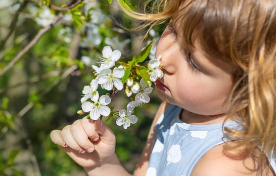 Child in a garden of flowering trees. Selective focus. kid.