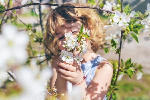 Child in a garden of flowering trees. Selective focus. kid.
