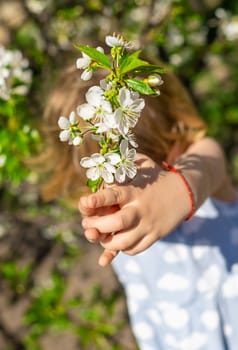 Child in a garden of flowering trees. Selective focus. kid.