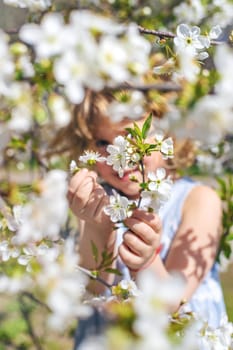 Child in a garden of flowering trees. Selective focus. kid.