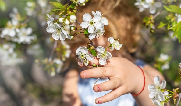 Child in a garden of flowering trees. Selective focus. kid.