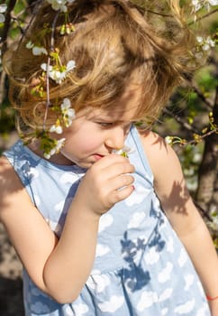 Child in a garden of flowering trees. Selective focus. kid.