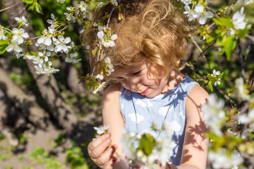 Child in a garden of flowering trees. Selective focus. kid.
