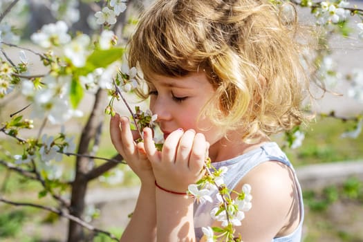 Child in a garden of flowering trees. Selective focus. kid.
