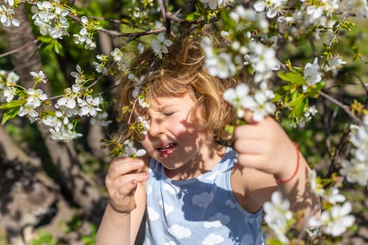 child allergic to flowering trees. Selective focus. kid.