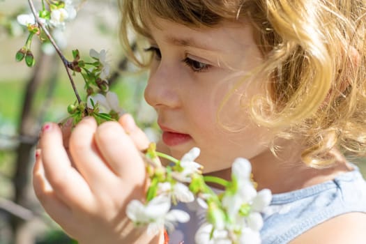 Child in a garden of flowering trees. Selective focus. kid.