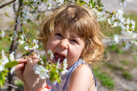 child allergic to flowering trees. Selective focus. kid.