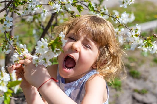 child allergic to flowering trees. Selective focus. kid.