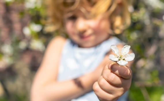 Child in a garden of flowering trees. Selective focus. kid.