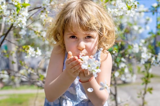 Child in a garden of flowering trees. Selective focus. kid.