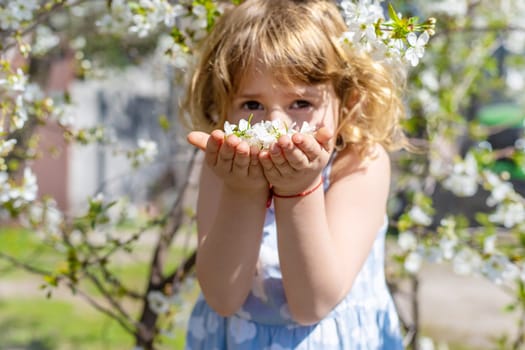 Child in a garden of flowering trees. Selective focus. kid.