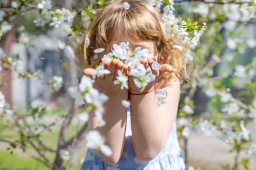 Child in a garden of flowering trees. Selective focus. kid.