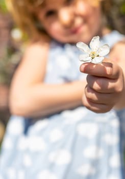 Child in a garden of flowering trees. Selective focus. kid.