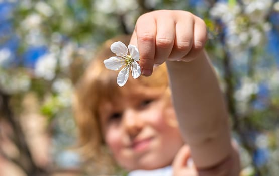 Child in a garden of flowering trees. Selective focus. kid.