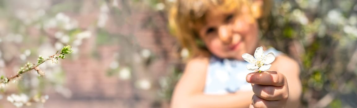 Child in a garden of flowering trees. Selective focus. kid.