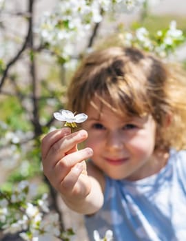 Child in a garden of flowering trees. Selective focus. kid.