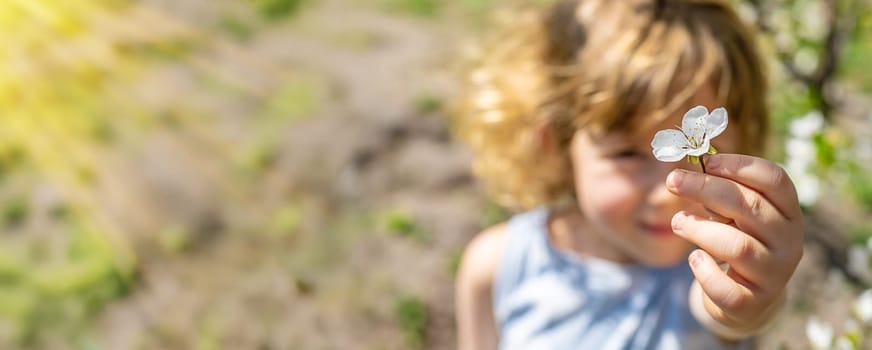 Child in a garden of flowering trees. Selective focus. kid.