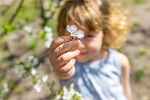 Child in a garden of flowering trees. Selective focus. kid.
