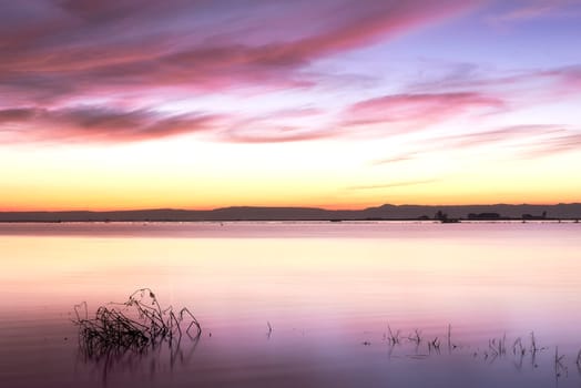 Sunset in the Albufera of Valencia.No people, calm waters, magenta and orange tones, empty space, plants in the foreground.