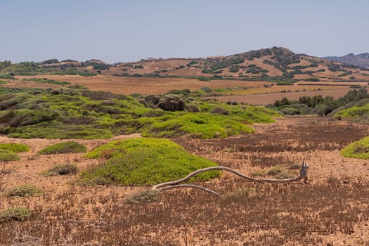 Island landscape of the north of the island of Menorca, dunes.Cloudy and bright skies, mountains in the background, bushes, sea, roads, no people.