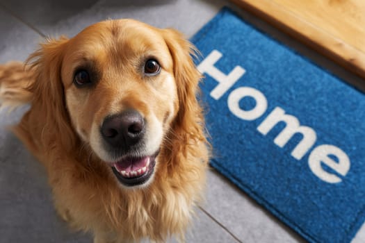 Closeup of a happy golden retriever dog smiling at the camera, standing on a blue doormat or welcome mat with the text Home on a floor indoors, puppy in house interior. Doorway pet welcoming guests..