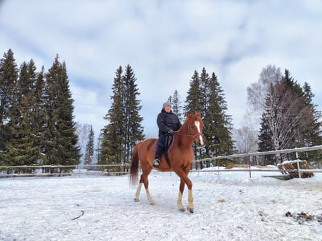 A person rides a brown horse through a snowy area surrounded by tall evergreen trees on a chilly winter day.