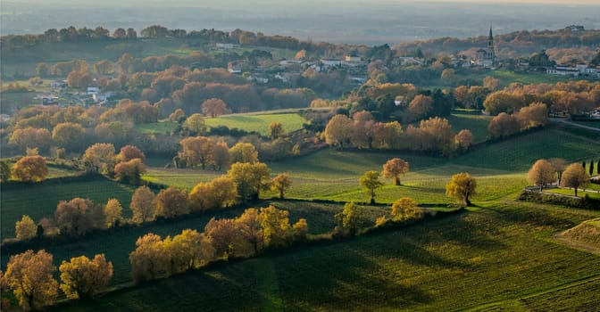 France, Gironde, Tabanac, Aerial view of the vineyard and wooded areas of Chateau le Pic in the Bordeaux vineyards at sunset. High quality photo