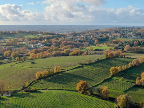 France, Gironde, Tabanac, Aerial view of the vineyard and wooded areas of Chateau le Pic in the Bordeaux vineyards at sunset. High quality photo