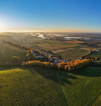 France, Gironde, Haut-Langoiran, Aerial view of the vineyard and wooded areas of Chateau de Langoiran in the Bordeaux vineyards at sunrise